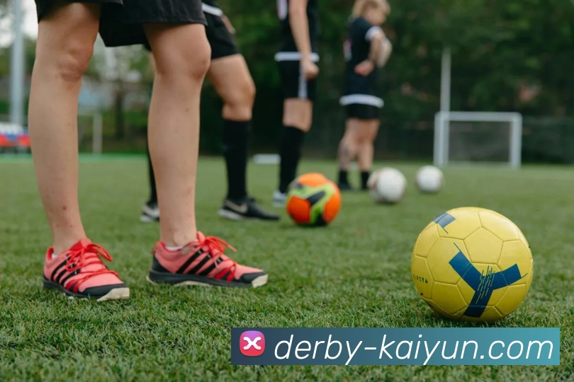 开云官网APP 封面图