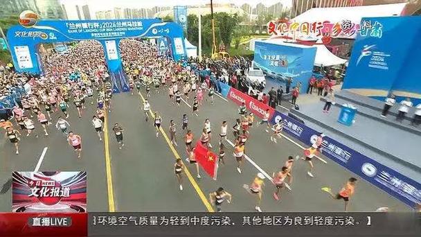 的对手